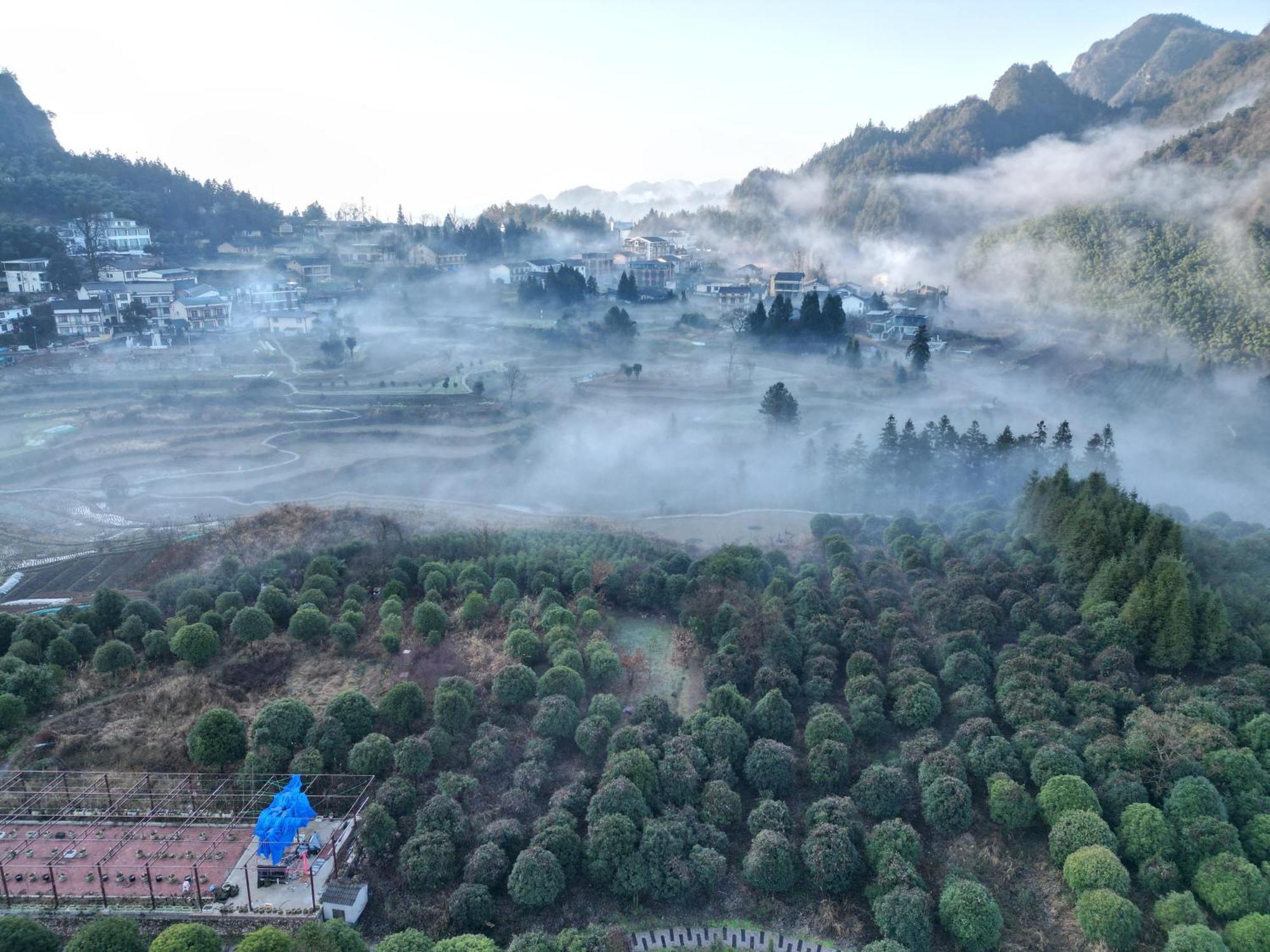 Hilltop House Resort Zhangjiajie Exteriör bild
